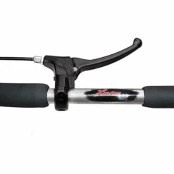 Hartan Kinderwagen Racer GTX Met Handrem Little Tiger (200) Framekleur Zilver -Kinderwagenwinkel hartan kinderwagen racer gtx met handrem little tiger 200 framekleur zilver a327532 2